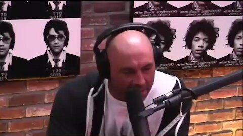 Jordan Peterson explains the totalitarian tiptoe power grab on the Joe Rogan Experience