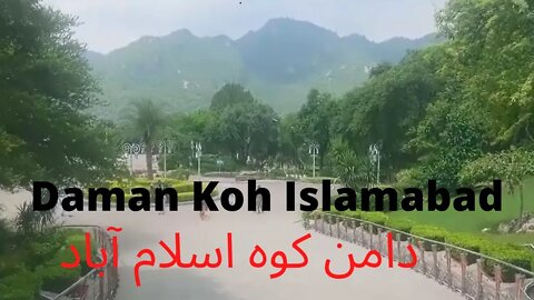 Daman Koh Islamabad | Monkeys in Daman Koh