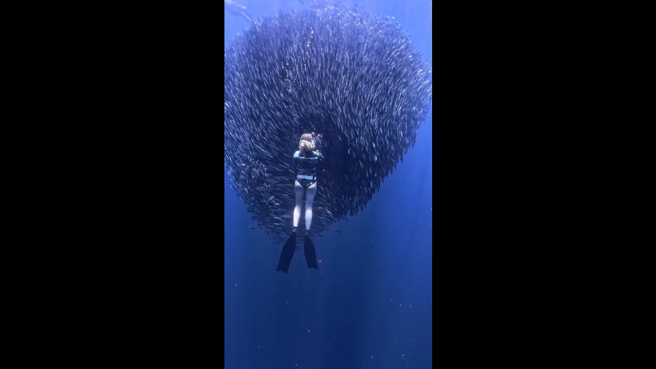 Underwater beauty ❤️‍🔥