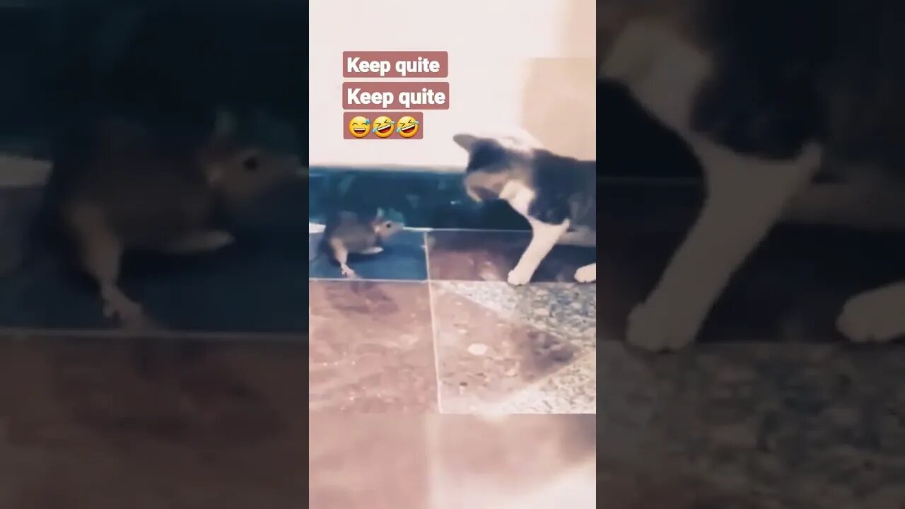 keep quite ooh keep quite 🤣😅💖