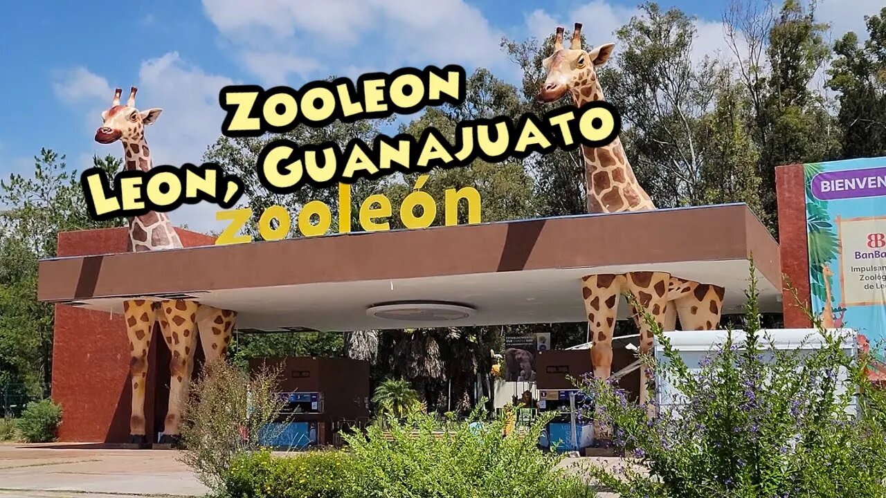 Zooleon Leon Guanajuato 2021