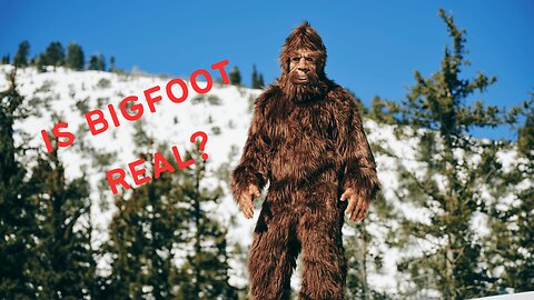 Is Bigfoot Real?