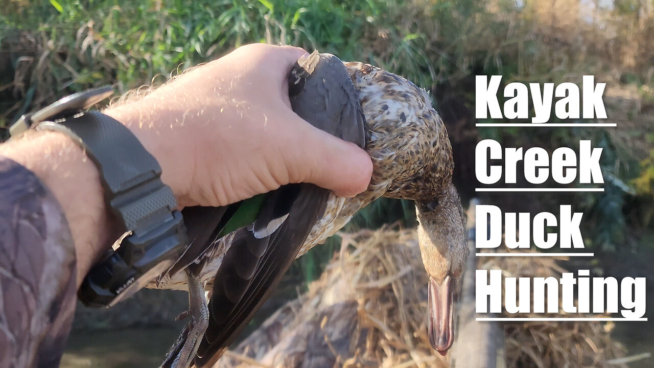 Kayak Duck Hunting Success! || Hunting A Small Creek From A Kayak!