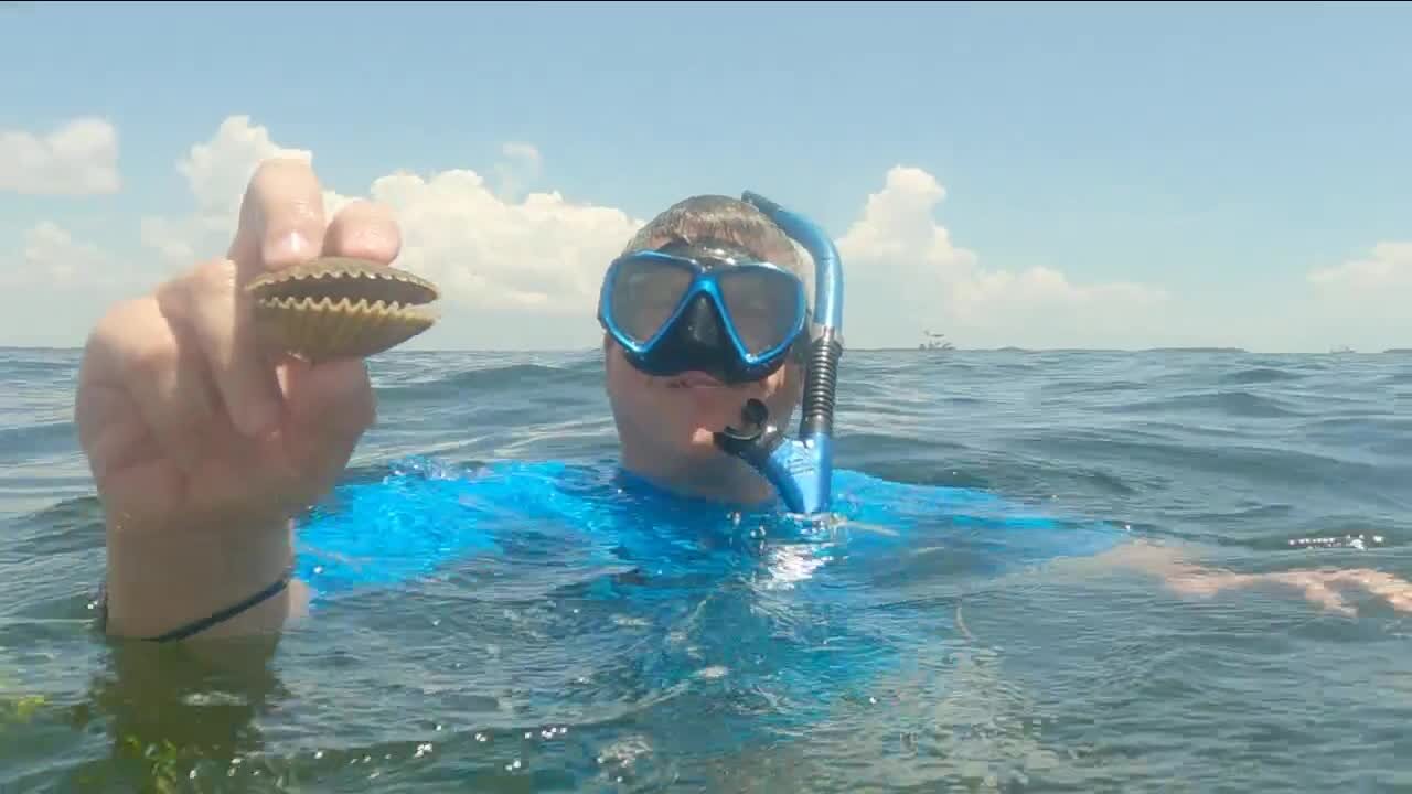 Scalloping in Crystal River is relaxing and fun for the whole family
