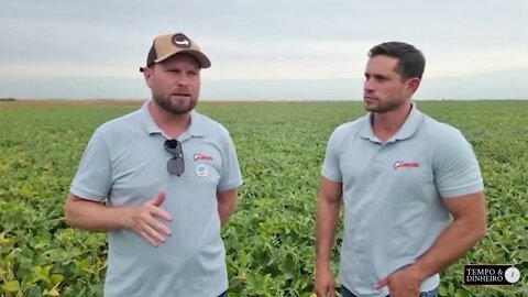 Nos EUA Crop Tour da Labhoro registra perdas evidentes para soja