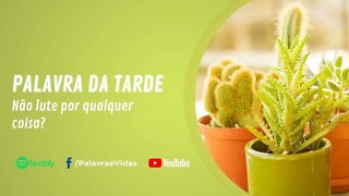 A Palavra da Tarde - Não lute por qualquer coisa?