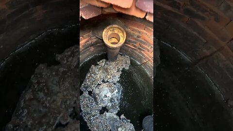 That’s a BIG ONE DUUUDE! #drains #sewers #pestcontrol