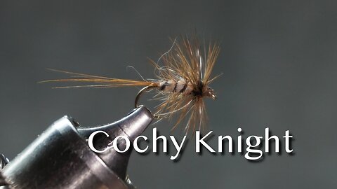 Cochy Knight