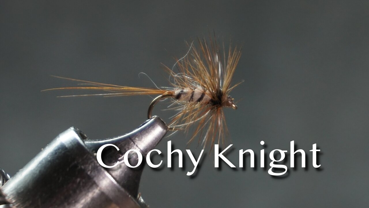 Cochy Knight