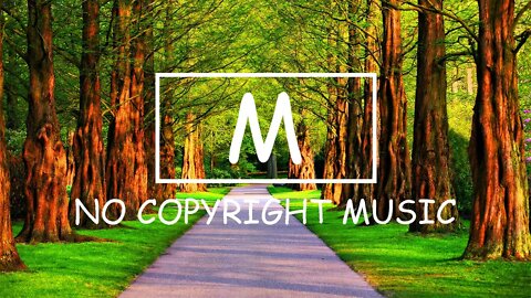 NOWË - Shine 'Til We Die（Mm No Copyright Music）