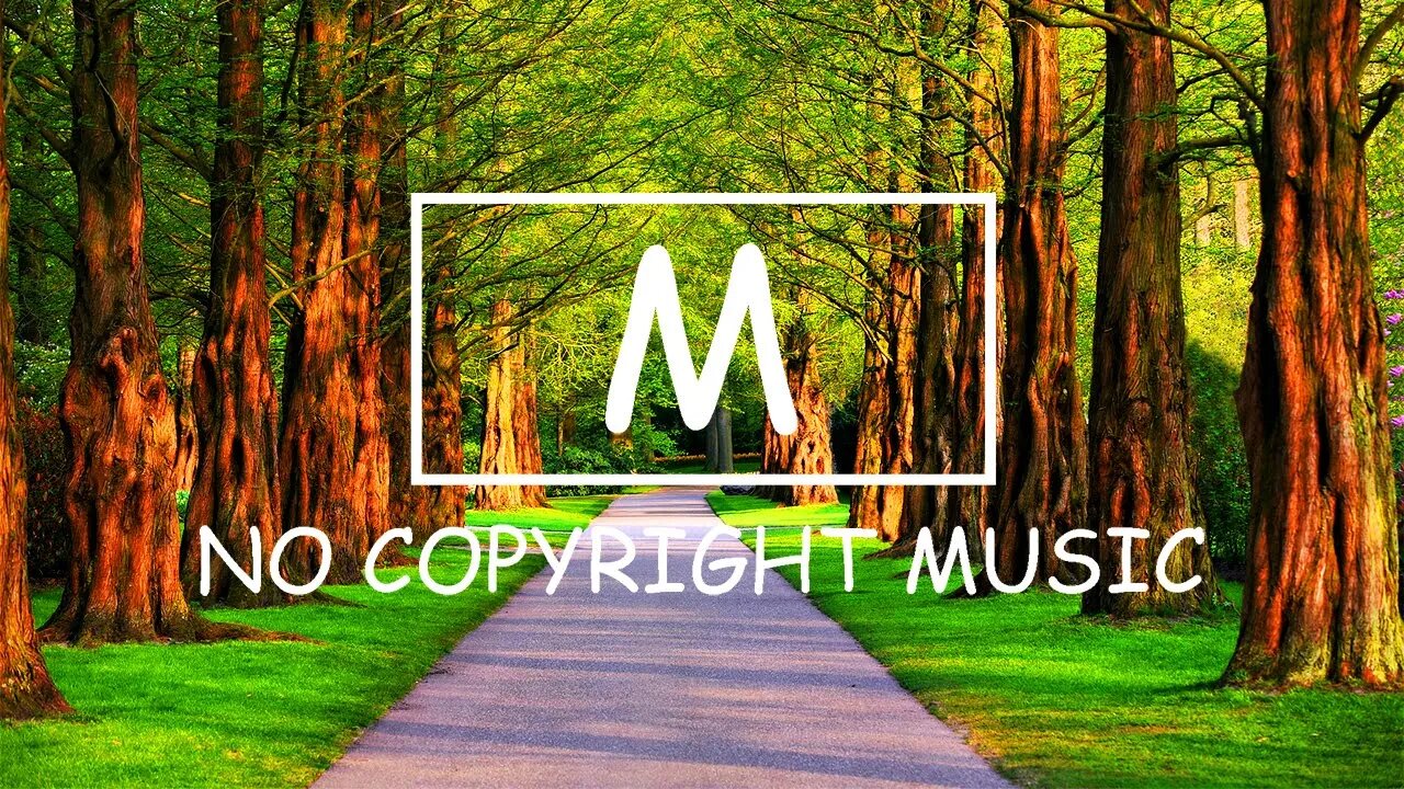 NOWË - Shine 'Til We Die（Mm No Copyright Music）