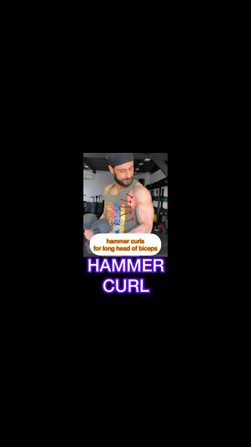 HAMMER CURL #shorts