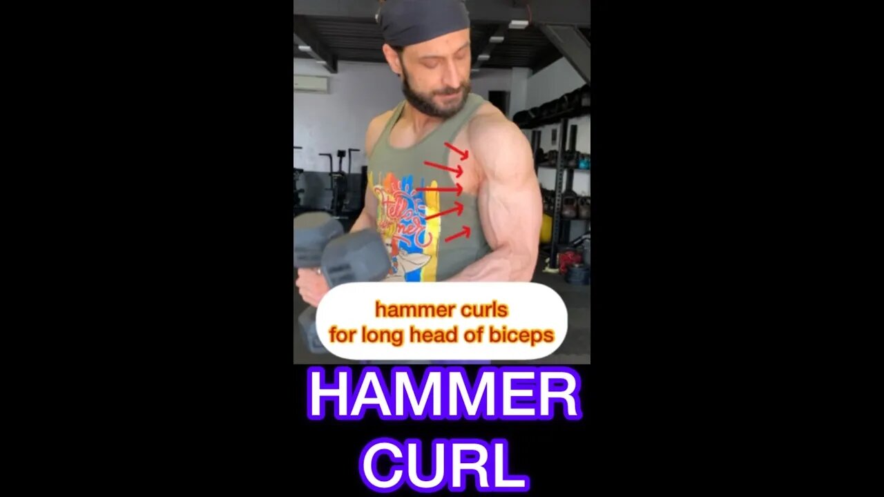 HAMMER CURL #shorts