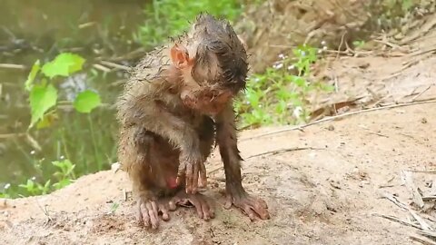 Oh My Goodness! baby kley rises from the ground to eat-20