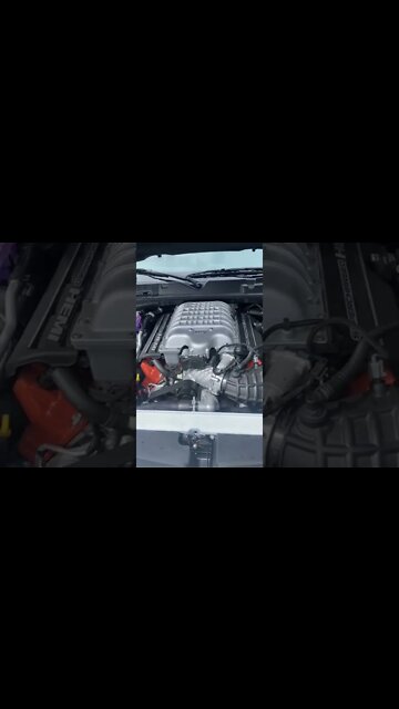 #shorts #2022 funny,prank,funjokes,dad jokes,funny memes,funny video,fun,laughing,funny animal,knock