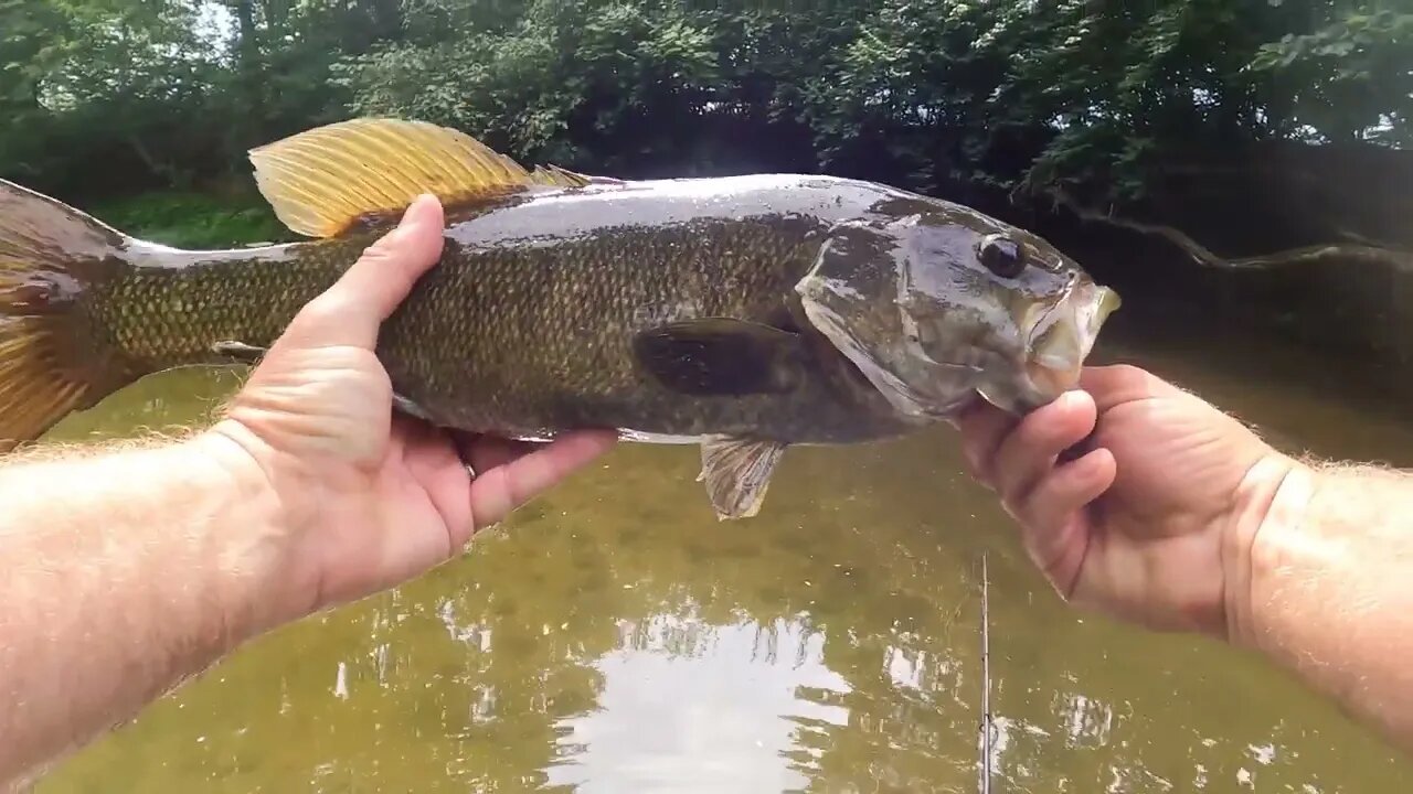 Top 10 BASS CATCHES of 2023!