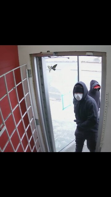 Gunmen rob Edmonton pawn shop, shooting staff members