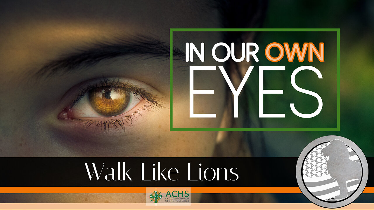 "In Our Own Eyes" Walk Like Lions Christian Daily Devotion with Chappy Oct 27, 2022