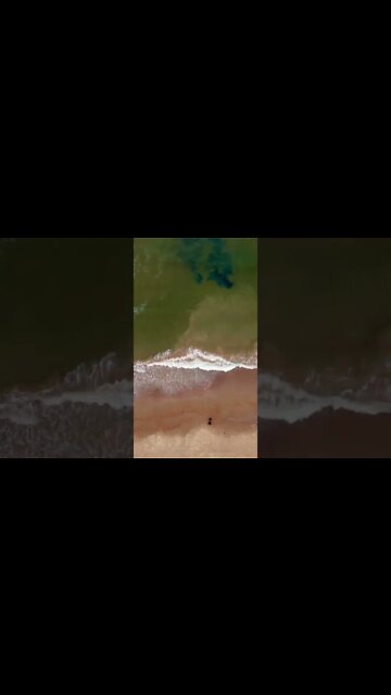 People walking by the waves