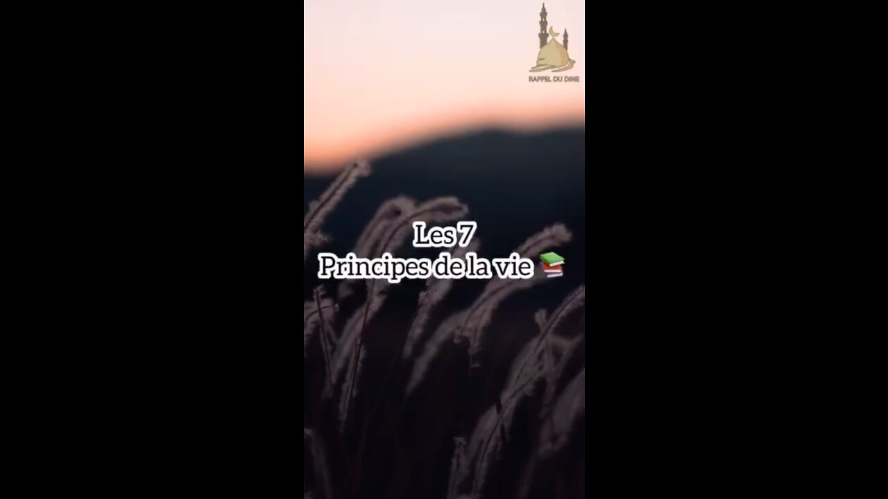 Les 7 principes de la vie