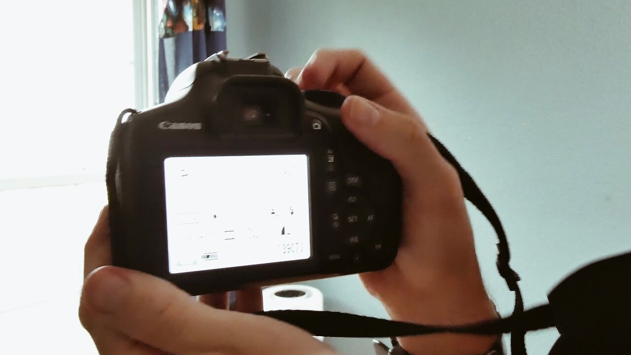 How To Use a Telephoto Lens