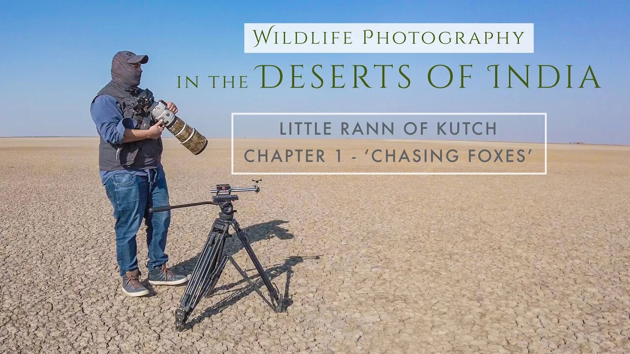 Wildlife Photography in the Little Rann of Kutch | DESERTS OF INDIA Chapter 1 - CHASING FOXES