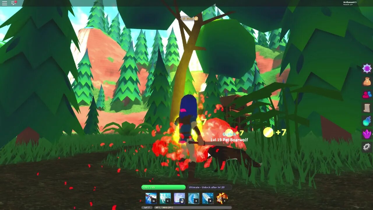 Roblox Zero World Beta Getting a pet