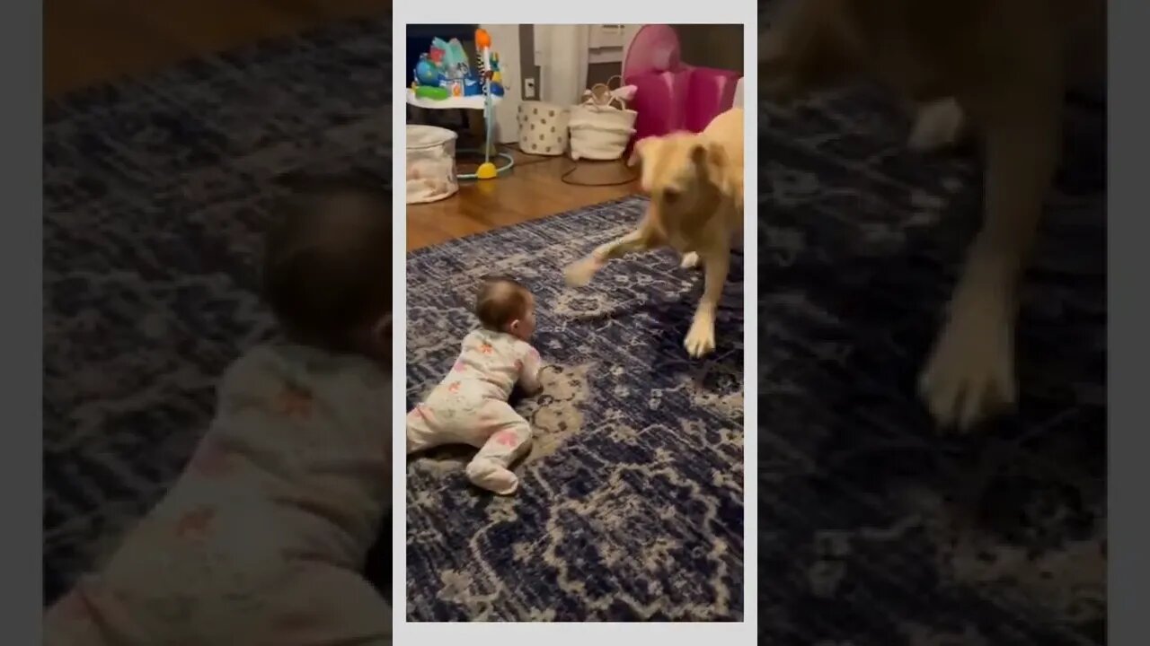 Dog loves to make baby laugh..🐕🐾👶☺️❤️Sound On..🔊🆙