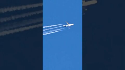 😱😱😱😱✈️✈️✈️