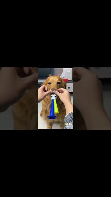 New Funny video 2022, viral video 2022, viral funny video, viral funny shorts, how to make funny