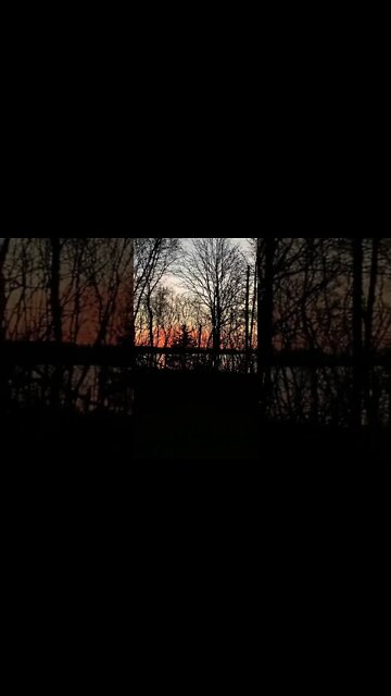 Pretty colored skies in the evening