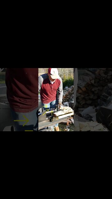 Firewood Revenge #shorts