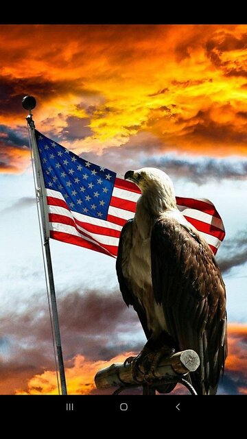 Denzel Washington’s daughter walks the red carpet with her