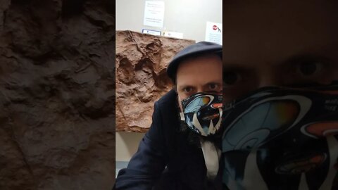 posing with a T Rex footprint