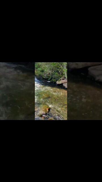 Waterfalls are so beautiful