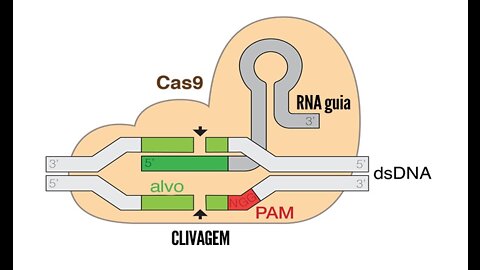 CURA DA AIDS PODE ACONTECER COM NOVA TECNOLOGIA! 🧑🏻‍🔬