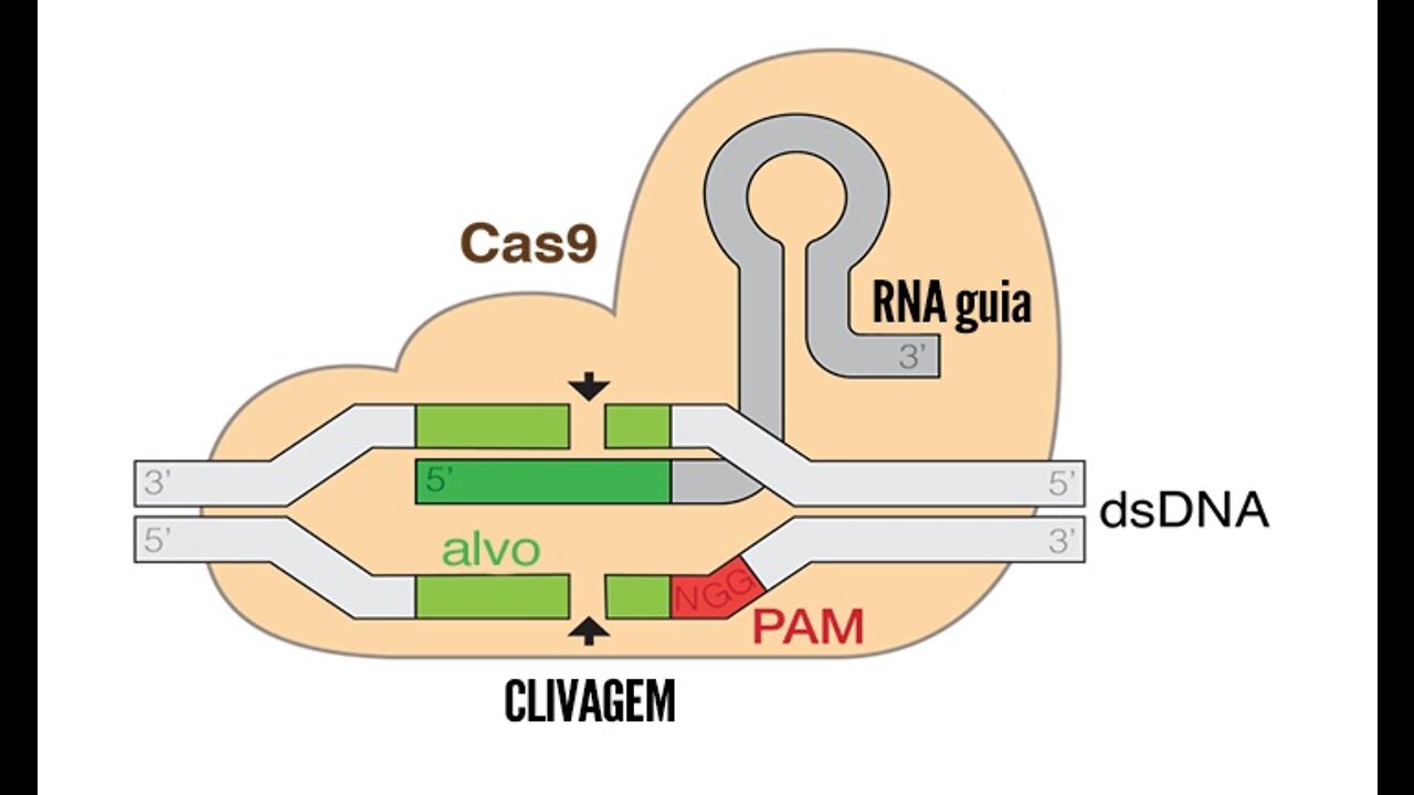 CURA DA AIDS PODE ACONTECER COM NOVA TECNOLOGIA! 🧑🏻‍🔬