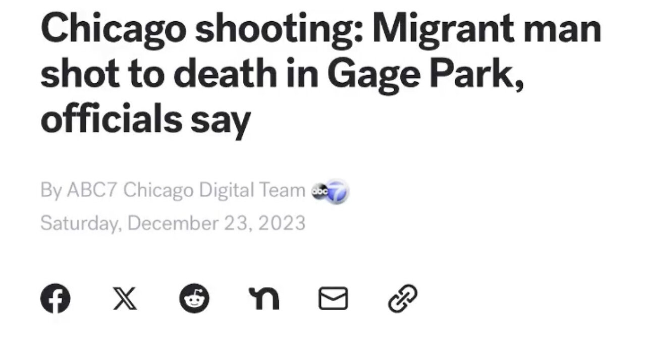 Terry Newsome exposes violence by illegal aliens in Chicago