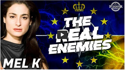 THE REAL ENEMIES: Crown, DC, WEF, NATO, Globalists vs Nationalists | Mel K