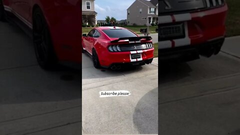 idle and some revs🤯🤯 #onepercent_clubb #shorts #mustang