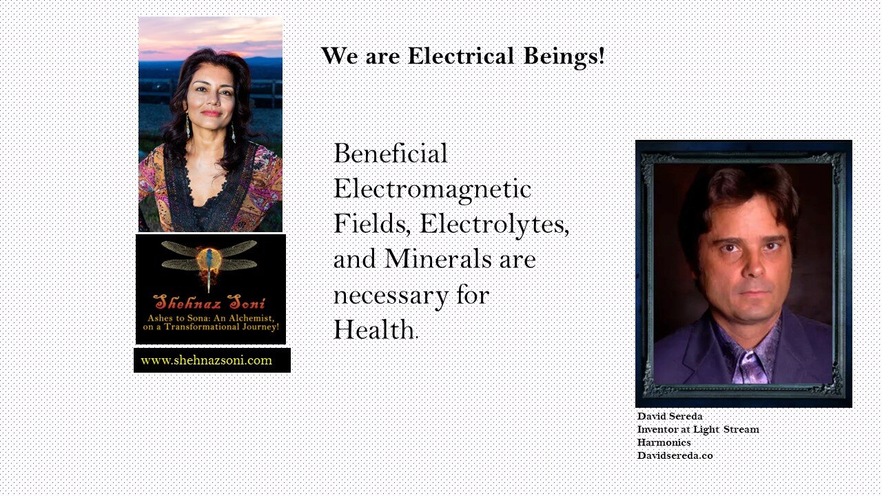 Electromagnetic Fields Impacts on Human
