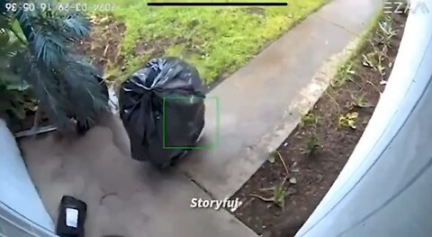 🦹🏻‍♂️ A parcel thief disguised as a walking trash bag 🤣🤣🤣