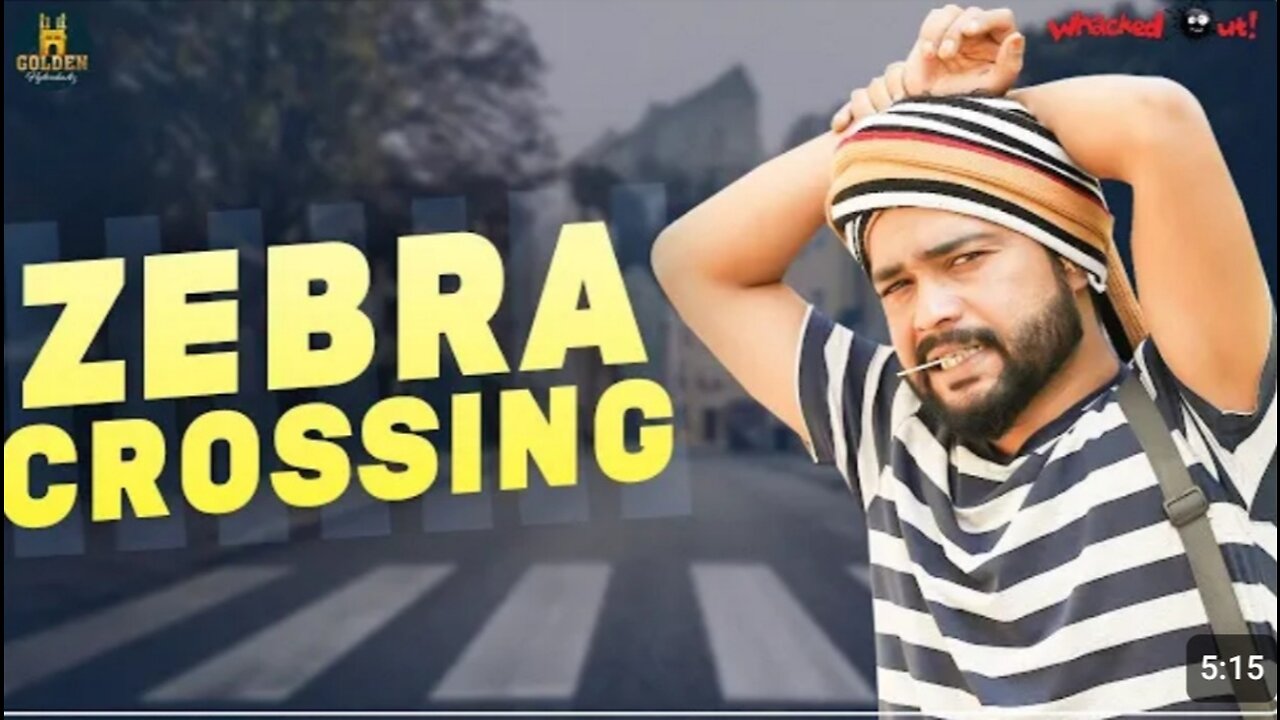 Zebra Crossing Latest Funny Video