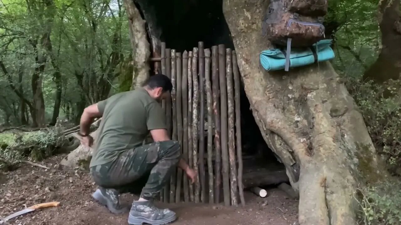 Build a warm shelter with a fireplace inside a 5,000 year old tree.15