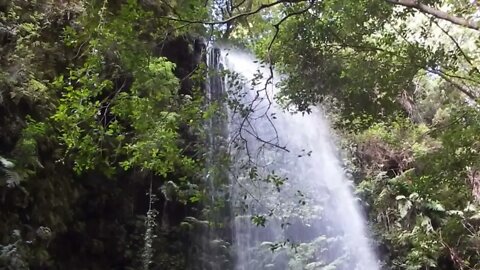 HASTALIK HİDAYETE VESİLE OLMUŞTU (TÖVBE MENKIBELERİ)