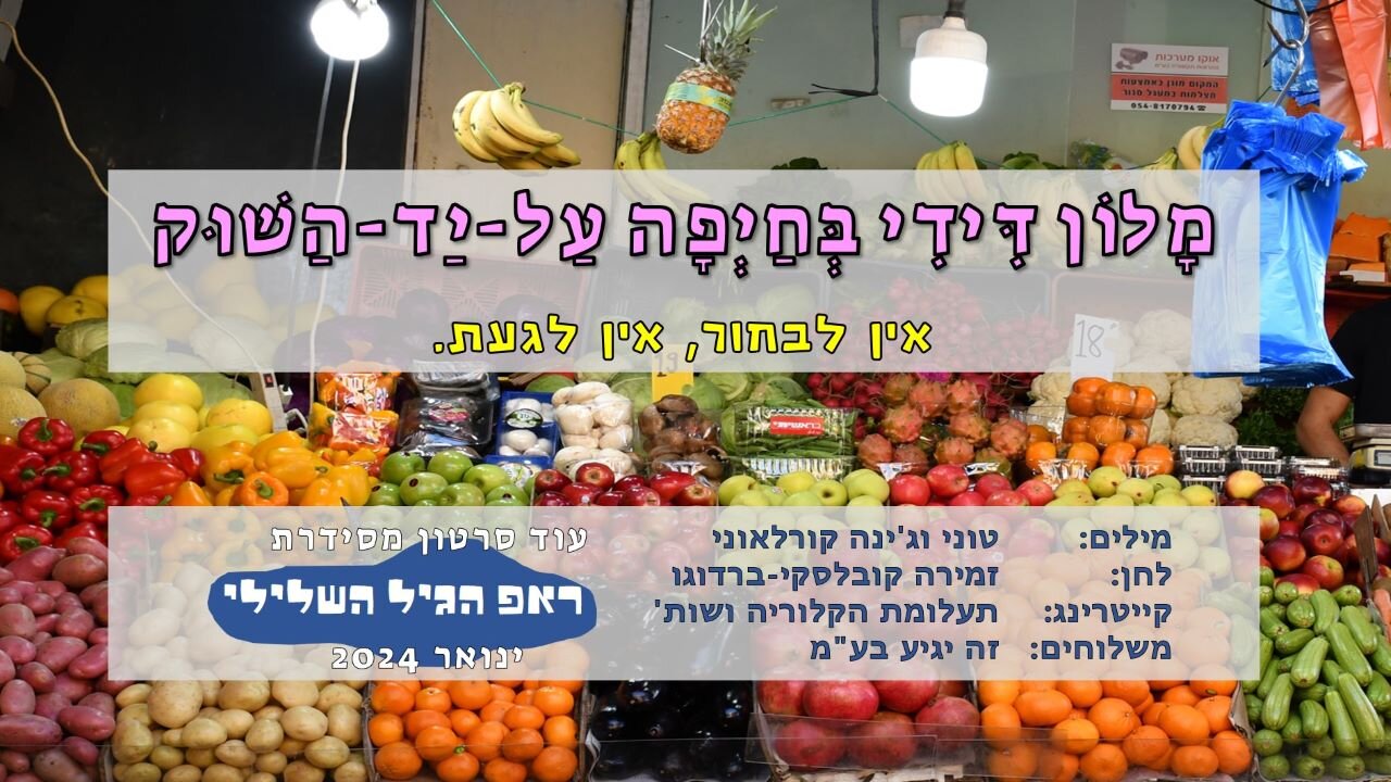 מלון דידי בחיפה