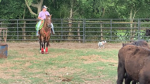 Growing Up Cowboy