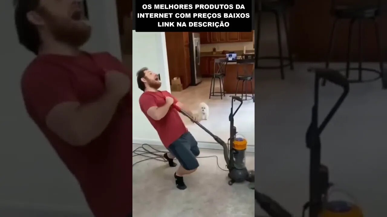 escolha o cachorro certo da próxima vez