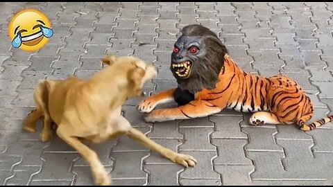 🐾Hilarious Try Not To Laugh with Dogs and Cats😂🐶🐱