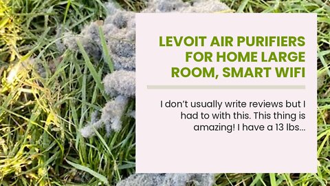 LEVOIT Air Purifiers for Home Large Room, Smart WiFi and PM2.5 Monitor H13 True HEPA Filter Rem...